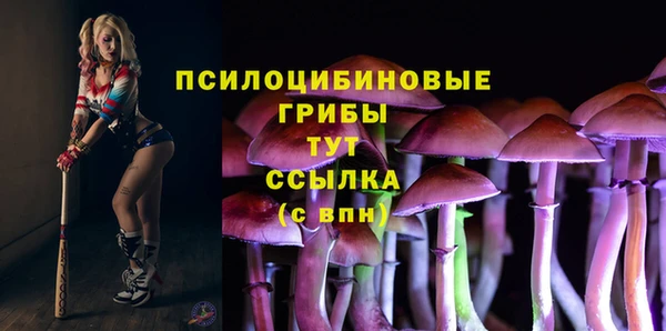 прущая мука Армянск
