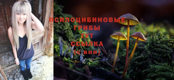 прущая мука Армянск