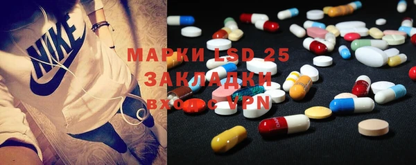 гашик Осинники
