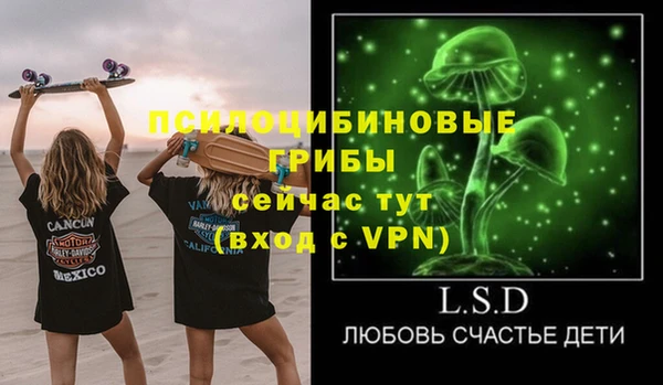 мескалин Арсеньев