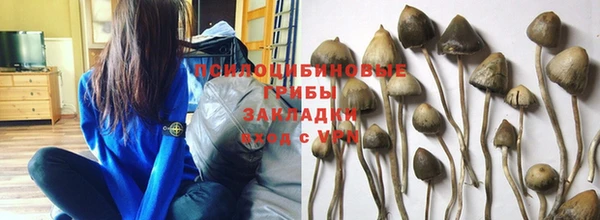 соль ск Аркадак