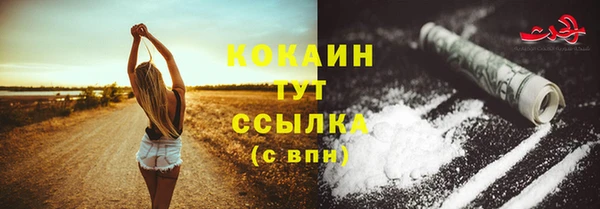 прущие грибы Пестово