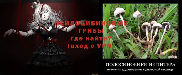 прущая мука Армянск